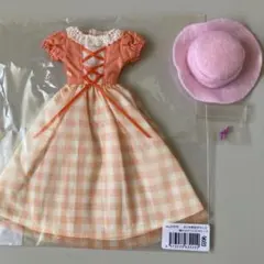 新品 未開封 愛媛県立西条高校 制服 リカちゃん人形 レア 限定 清楚