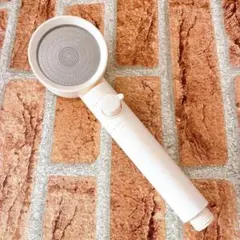 Item thumbnail for item 795a4a59-976f-4de2-a094-2b6dad1ae589