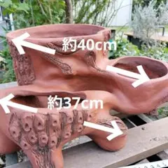 ◆希少盆栽鉢・変わり鉢・中国宣興　三連木根鉢現品のサムネイル