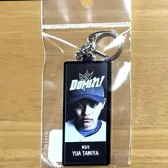 田宮裕涼 DOMIれ！ キーホルダー 日本ハムファイターズ