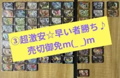 ③超激安！大特価！最安値☆早い者勝ち✨激安特価200円〜☆2枚〜選択要♪