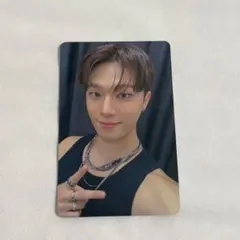 SEVENTEEN セブチ ディノ FC更新 トレカ