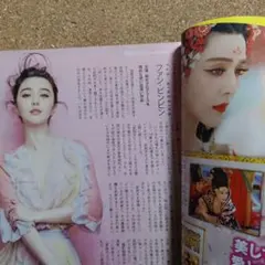 ファン・ビンビン 山田孝之 特集 2016年　非売品　販促冊子　匿名配送