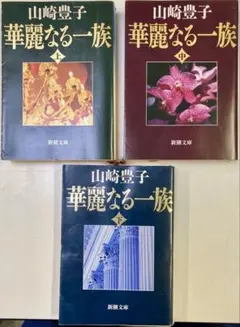 【2026年最新】山崎豊子 華麗なる一族 上中下巻の人気アイテム - メルカリ