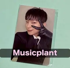 enhypen musicplant