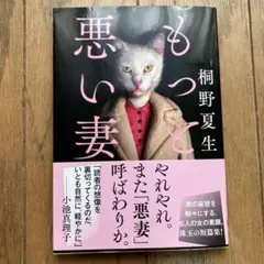 もっと悪い妻