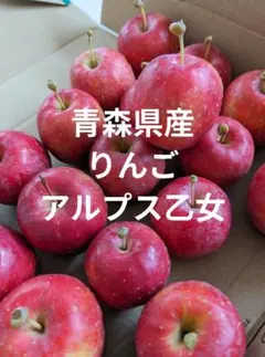 2025年最新】りんご乙女の人気アイテム - メルカリ 数量限定【値下げ