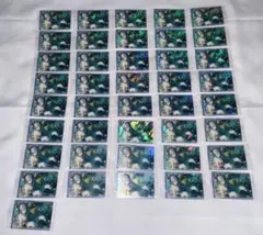 プロセカ プロジェクトセカイ KAITO ウエハース 11弾 情熱 ニゴカイ
