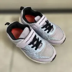 瞬足　20㎝