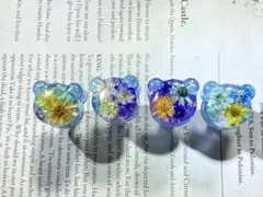 【209】水中花 クマ ナンバーボルト 4個セット