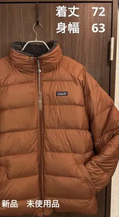 2025年最新】パタゴニア リバーシブルサイレントダウンジャケットの