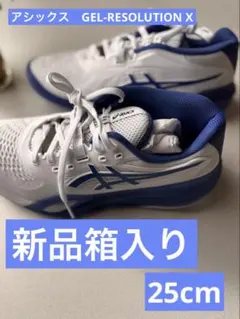 アシックス新品箱入⭐️GEL-RESOLUTION X オールコートテニスシューズ