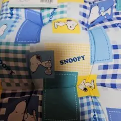 スヌーピーとチャーリー・ブラウンの生地 30cm