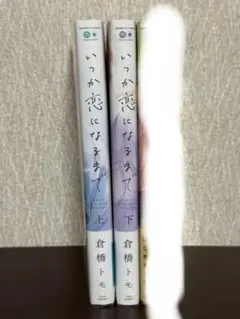 いつか恋になるまで 上・下