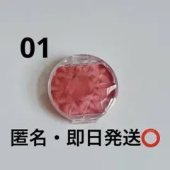 CANMAKE キャンメイク　クリームチーク　パールタイプ　P01