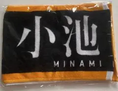 Item thumbnail for item 2ec55f40-aa1d-4f10-bf8a-dc5e585a1d87