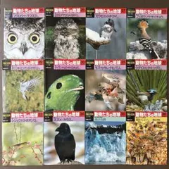 2026年最新】朝日百科 動物の人気アイテム - メルカリ