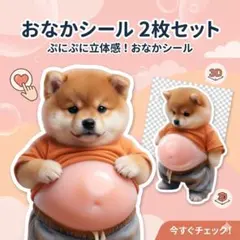 2枚セット おなかぷにぷにシール お腹 柴犬 ぷっくり 癒し 3d スクイーズ