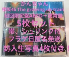 櫻坂46 The growing up train ABCD通常+生写真4枚⑨