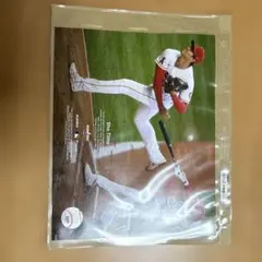 大谷翔平 Shohei Ohtani MLB フォト