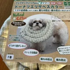 Item thumbnail for item eab3d009-d7d1-4204-af2e-b7cae5e1b153