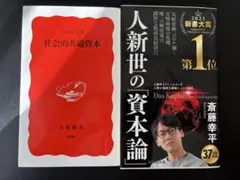 人新世の「資本論」 斎藤幸平 集英社新書 社会的共通資本 宇沢弘文 岩波新書