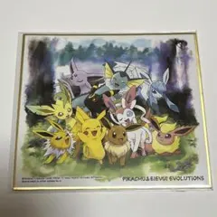 2025年最新】イーブイ 色紙の人気アイテム - メルカリ