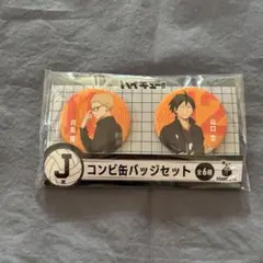 月島蛍 山口忠 ハイキュー Happyくじ ハッピーくじ J賞