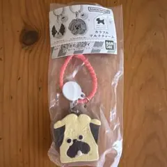 Maison terrier カラフルマルチチャーム フィナンシェ