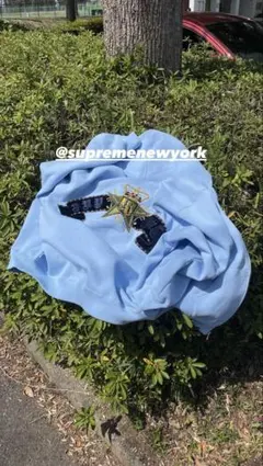 Item thumbnail for item 8642e70a-2eb3-4fbc-9085-2f7c1baceb38