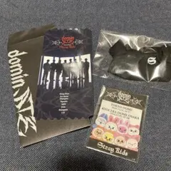 SKZ dominATE アプグレ 特典 skzoo ぬい服他3点セット