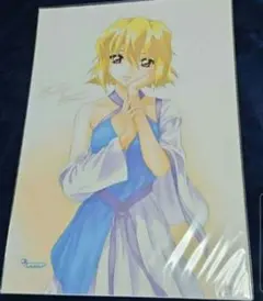 ガンダムSEEDDESTINY ステラ ポスター