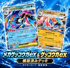 メガゲッコウガ EX 構築済みデッキ #810デッキ - メルカリ