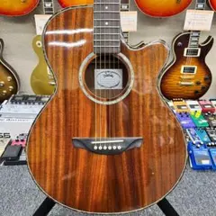 【11488】Headway TF-1000C エレアコ アコースティックギターのサムネイル