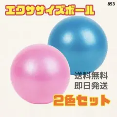ボール セット エクササイズ トレーニング 宅トレ ヨガ 筋トレ 853