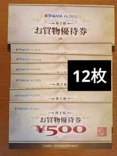 ヤマダ電機株主優待 お買物優待券 6,000円