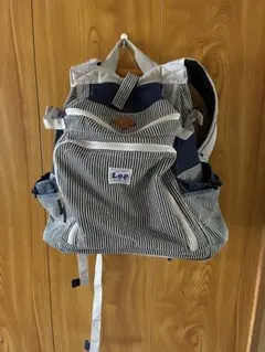Leeヒッコリー柄ハグ&リュックキャリーバッグ　小型犬用