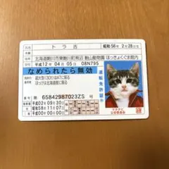 Item thumbnail for item c37535b9-5821-4398-88bc-a42fa47207c3