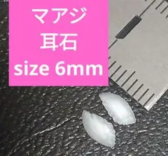 マアジ 耳石 お守りパワーストーン天然石宝石開運受験生物学 F71