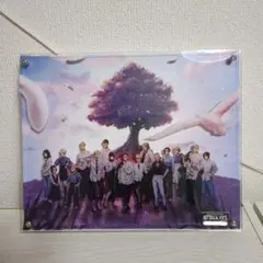 進撃の巨人⭐︎10周年 限定グッズ レイヤードグラフ 進撃の巨人」公式アカウント on X: 