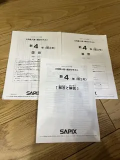 2026年最新】sapix 3年 テストの人気アイテム - メルカリ