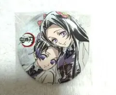 鬼滅の刃全幕間画WEBSHOPくじ炭治郎立志編a賞A048 胡蝶しのぶ　カナエ 鬼滅の刃 立志編 幕間画WEBSHOPくじ C賞 アクリルスタンド 胡蝶