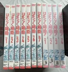 ♥️セル版♥️saku saku DVD 9枚セット★まとめ売り ♥️セル版♥️saku saku DVD 9枚セット☆まとめ売り - メルカリ