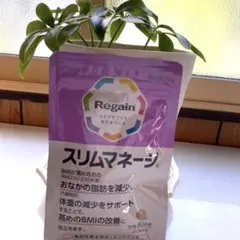 Regain スリムマネージ 30日分 機能性表示食品 新品未開封のサムネイル