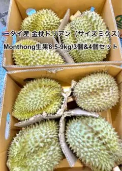 【大人気】ベトナム産ドリアン 7~8入　箱込み約20kg 佐川急便発送 大人気】ベトナム産ドリアン 7~8入 箱込み約20kg 佐川急便発送 - メルカリ