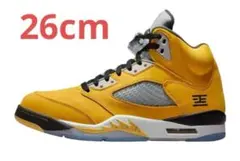 Nike Air Jordan 5 Retro 