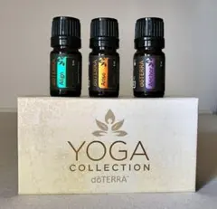 訳アリ★未使用保管dōTERRA ヨガコレクション エッセンシャルオイルのサムネイル