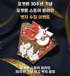 h*k様 【韓国限定】ポケットモンスター 30周年記念 限定ピンバッジ【4