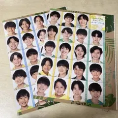 Jr. デタカ データカード Myojo 全員分