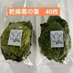 うさぎのおやつ 季節のいちご食べ比べセット④ - メルカリ